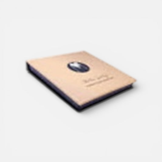 Magnetische palette S